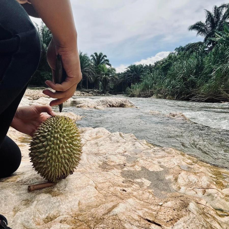 Sahom Valley Resort - Agro & Eco Park กัมปาร์ ภายนอก รูปภาพ